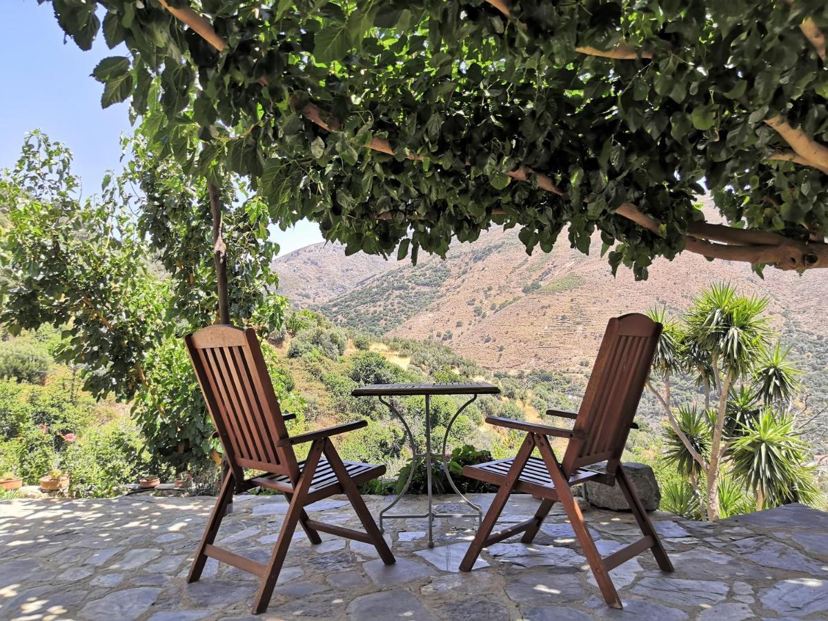 Casa Pappadiana Traditional Stonehouse Βίλα Κεφάλι Εξωτερικό φωτογραφία
