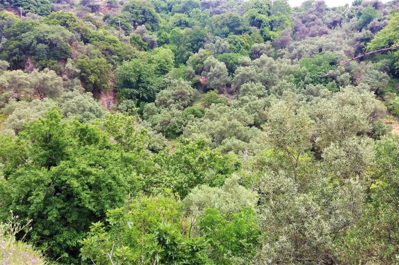Casa Pappadiana Traditional Stonehouse Βίλα Κεφάλι Εξωτερικό φωτογραφία