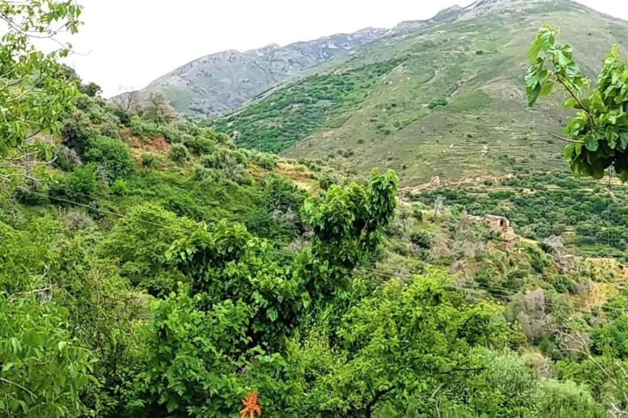 Casa Pappadiana Traditional Stonehouse Βίλα Κεφάλι Εξωτερικό φωτογραφία